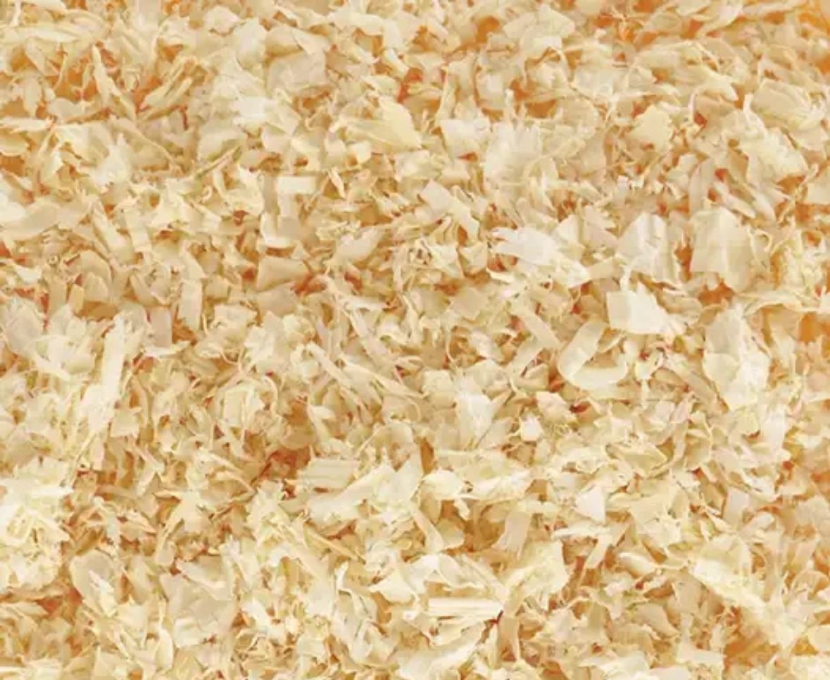 Wood Shaving